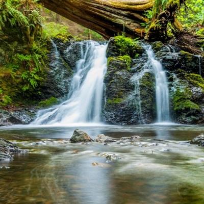 金年会app下载入口