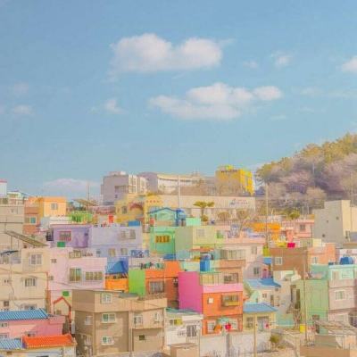 乐鱼娱乐appapp下载