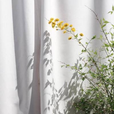 半导综合体育下载截图