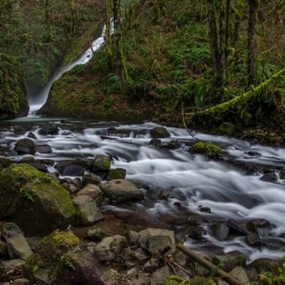 皇冠体育手机版